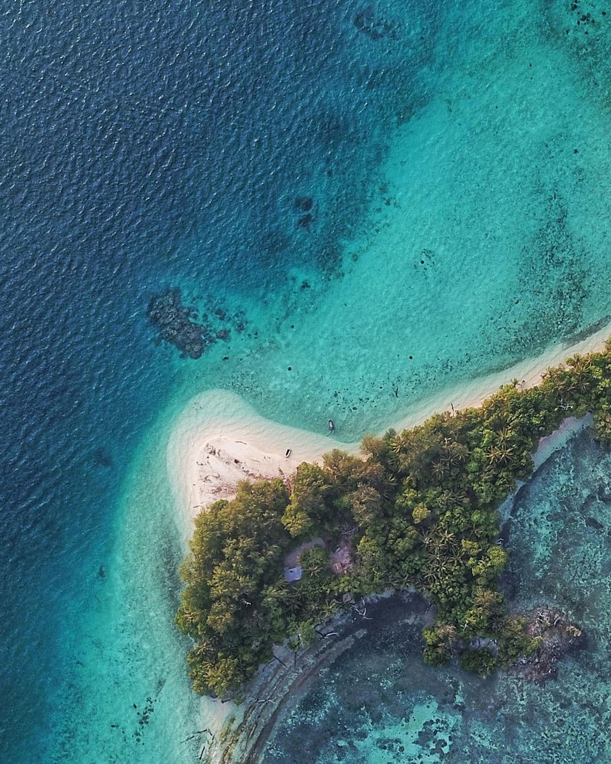 Pulau Padaidori, Papua