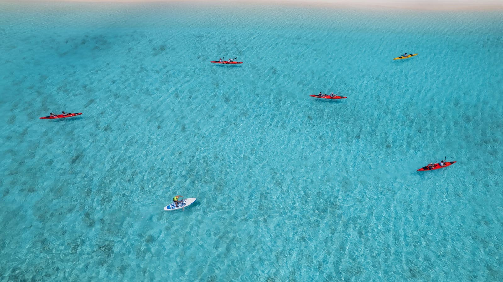 Pulau Padaidori, Papua