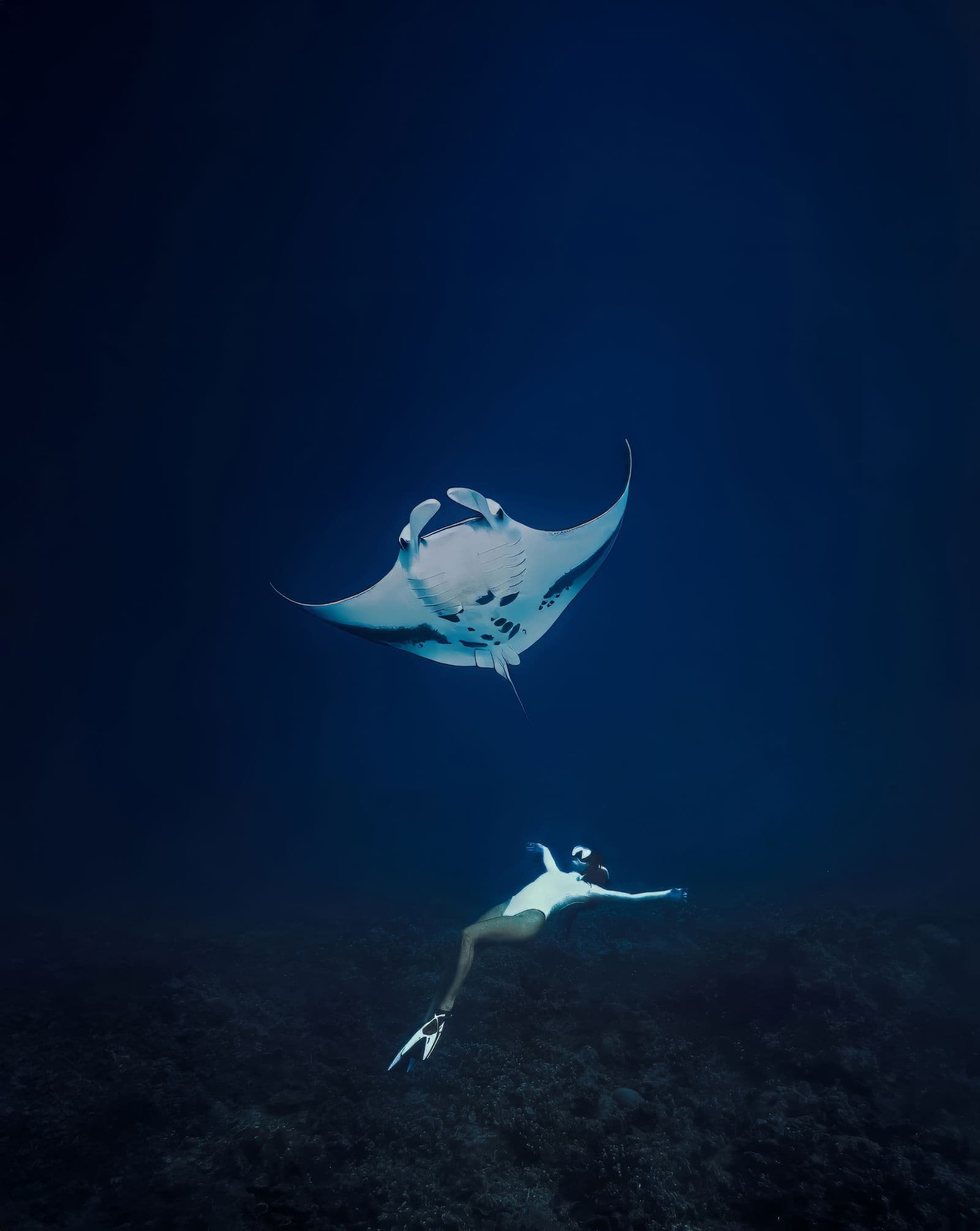 Snorkeling with Swan Hellenic Expedition Team