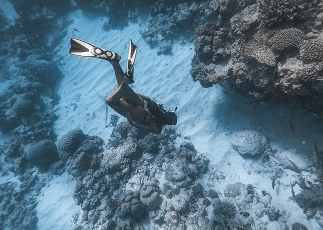 Snorkeling with Swan Hellenic Expedition Team