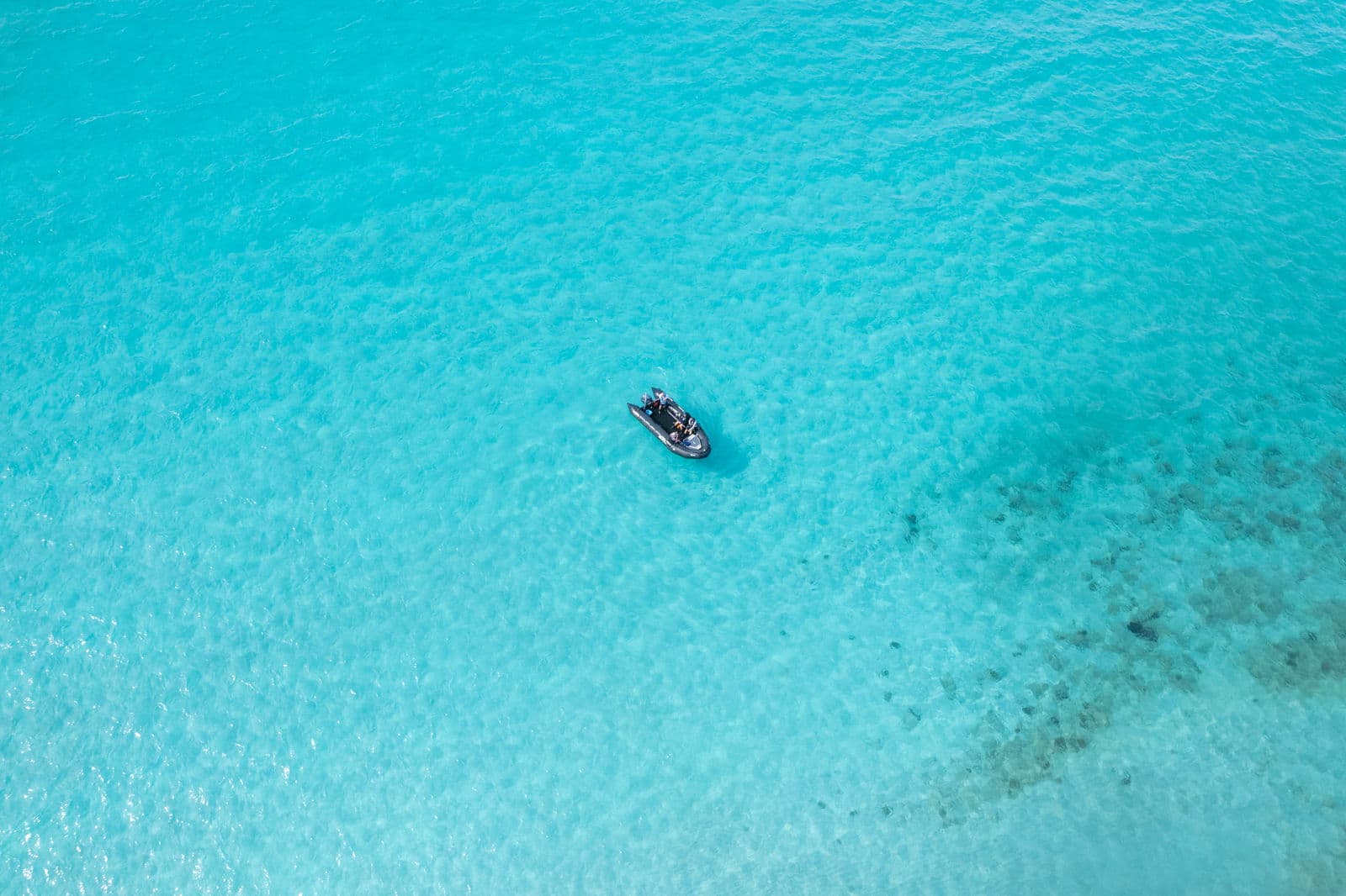 Snorkelling With the Expedition team